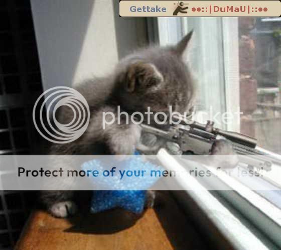 snipercat.jpg