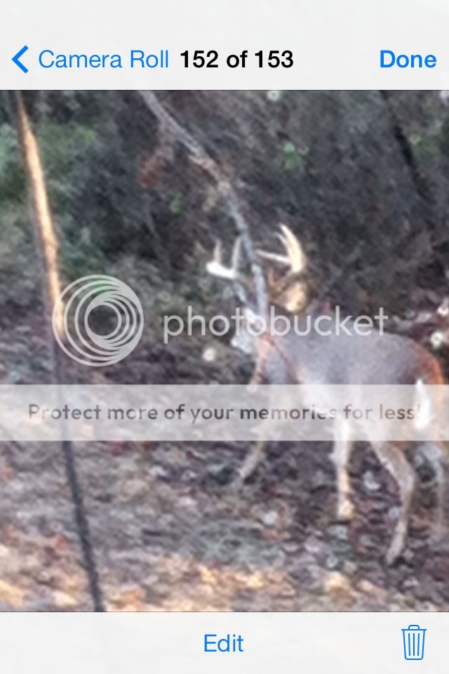 Good evening in SE Ohio. Fifteen yards and a lot of deer just not the Good evening in SE Ohio. Fifteen yards and a lot of deer just not the