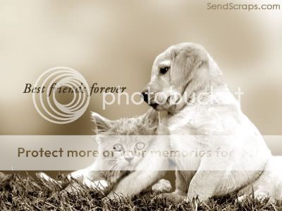 Orkut Scrap - Best Friends: 4