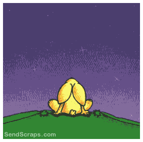 Orkut Scrap - How's it Going?: 6