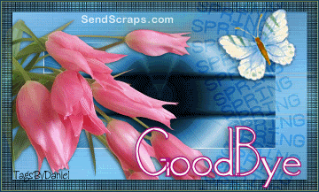 Orkut Scrap - Bye: 2