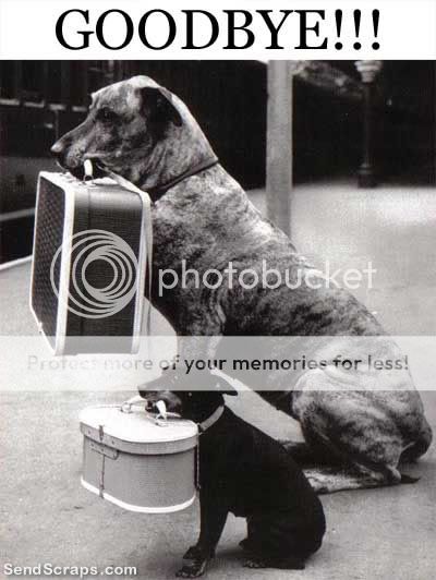 Orkut Scrap - Goodbye!: 4