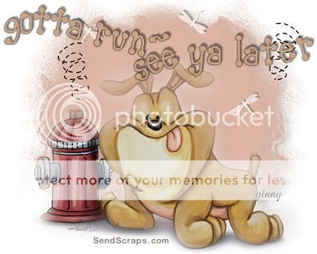 Orkut Scrap - Bye: 5