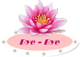 Orkut Scrap - Goodbye!: 6