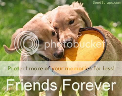 Orkut Scrap - Friends Forever: 6