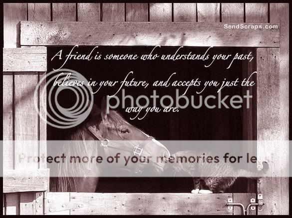 Orkut Scrap - Friendship: 5