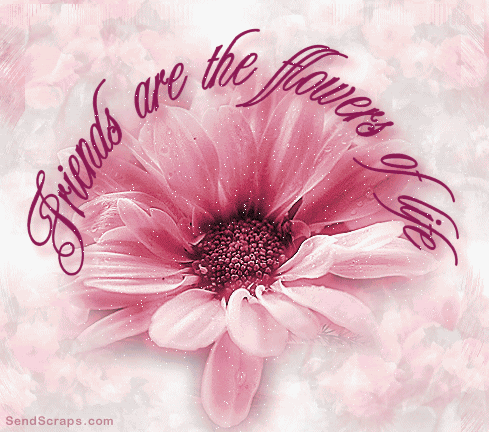 Orkut Scrap - Friendship: 5