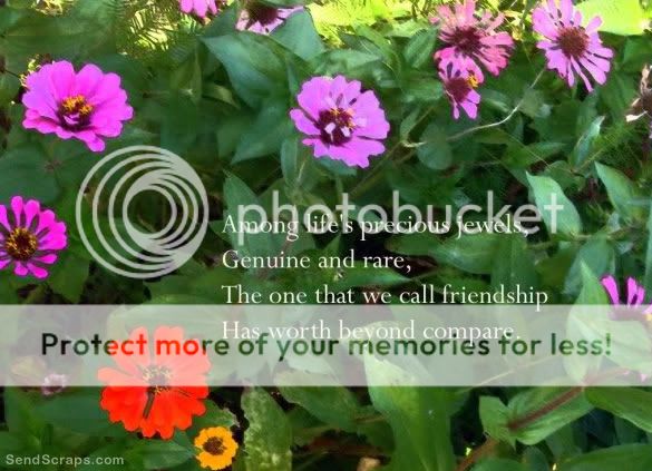 Orkut Scrap - Friendship: 2