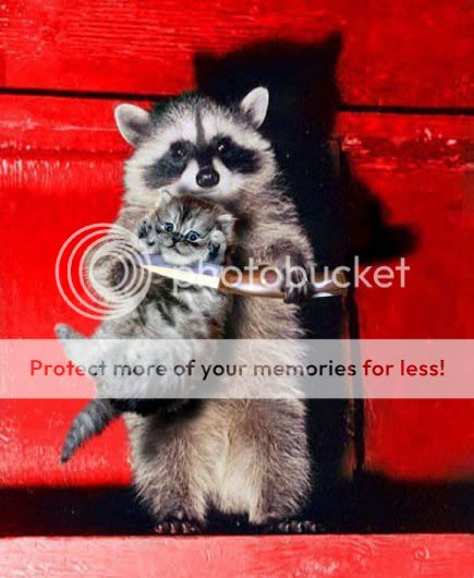 Orkut Scrap - Funny Animals: 3