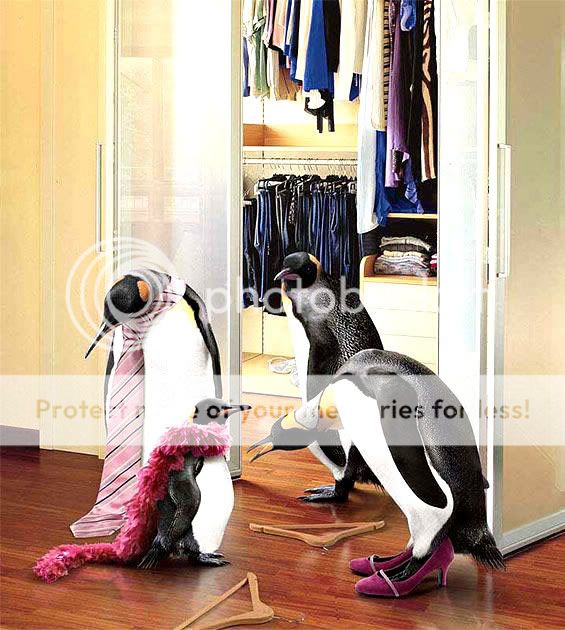 Orkut Scrap - Funny Animals: 4