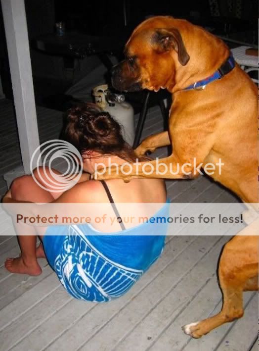 Orkut Scrap - Funny Animals: 6