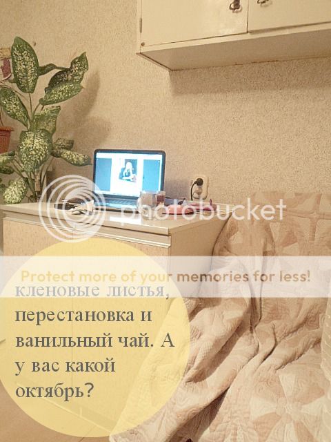 Кленовые листья, ванильный чай и перестановка в моей квартире