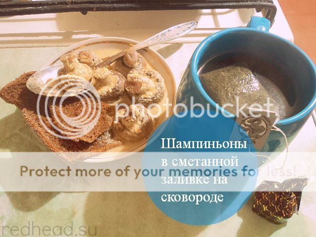 Приготовление шампиньонов со сметаной - рецепт вкусного блюда