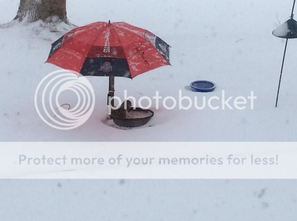 72858_10200634051773724_558184204_n_zpsb