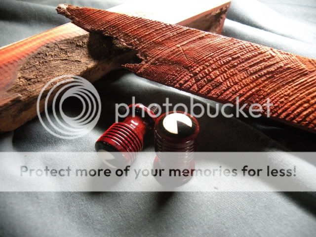 DSCN6266.jpg